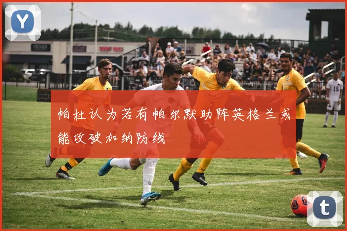帕杜认为若有帕尔默助阵英格兰或能攻破加纳防线